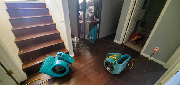 Best Ceiling water damage repair  in Calverton, MD