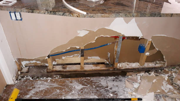 Best Water damage restoration near me  in Calverton, MD