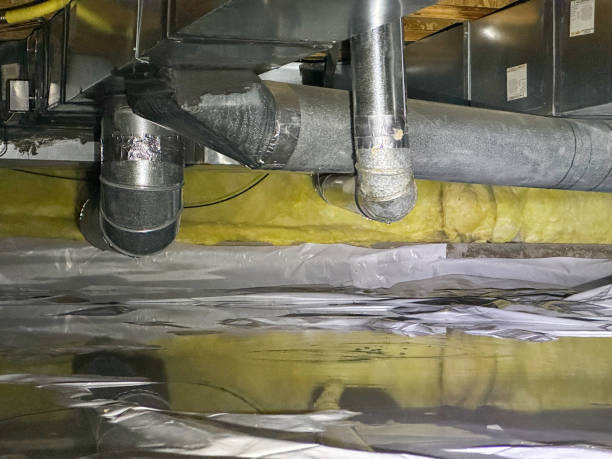 Best Water damage restoration experts  in Calverton, MD