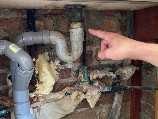 Best Fire Damage Restoration  in Calverton, MD